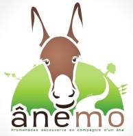 ane mo